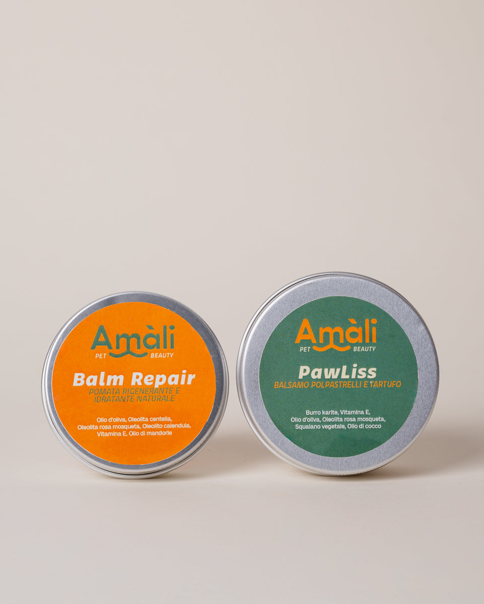 Kit Paw Repair & Shield - proteggi e ripara