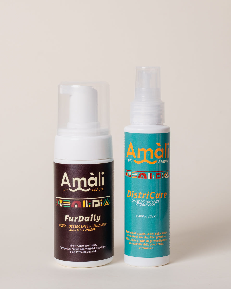 Kit Tangle-Free Duo - cura del pelo per barbone, lagotto e pelo lungo