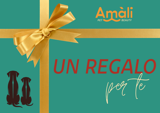 Buono Regalo AMALI