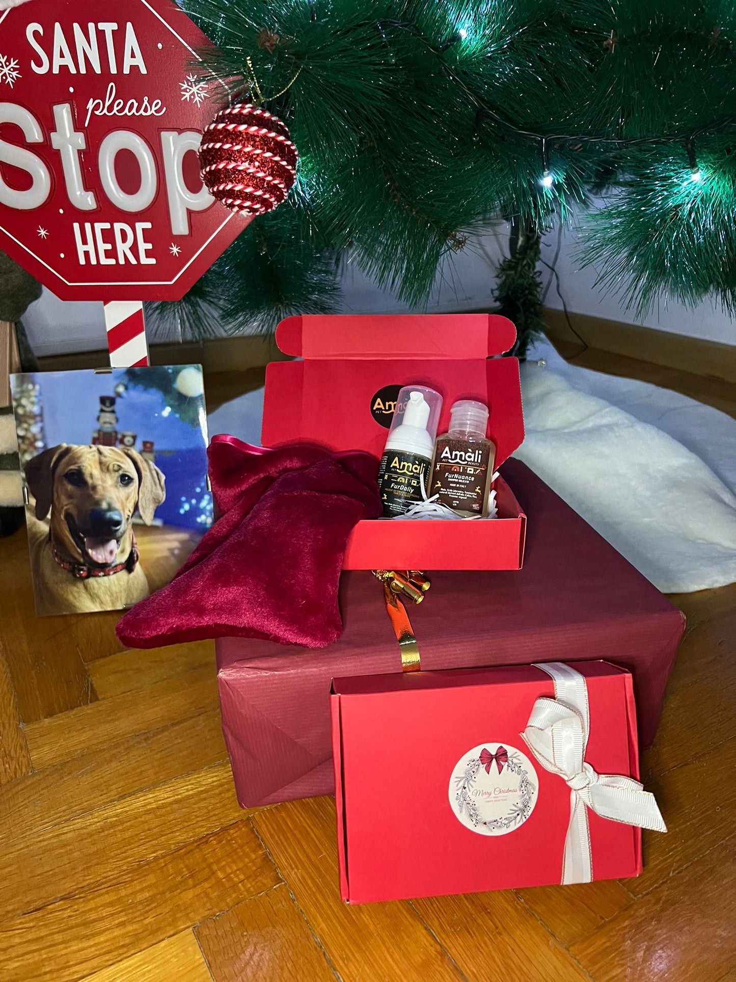 CHRISTMAS BOX - Piccole dimensioni, grandi coccole per il tuo cane