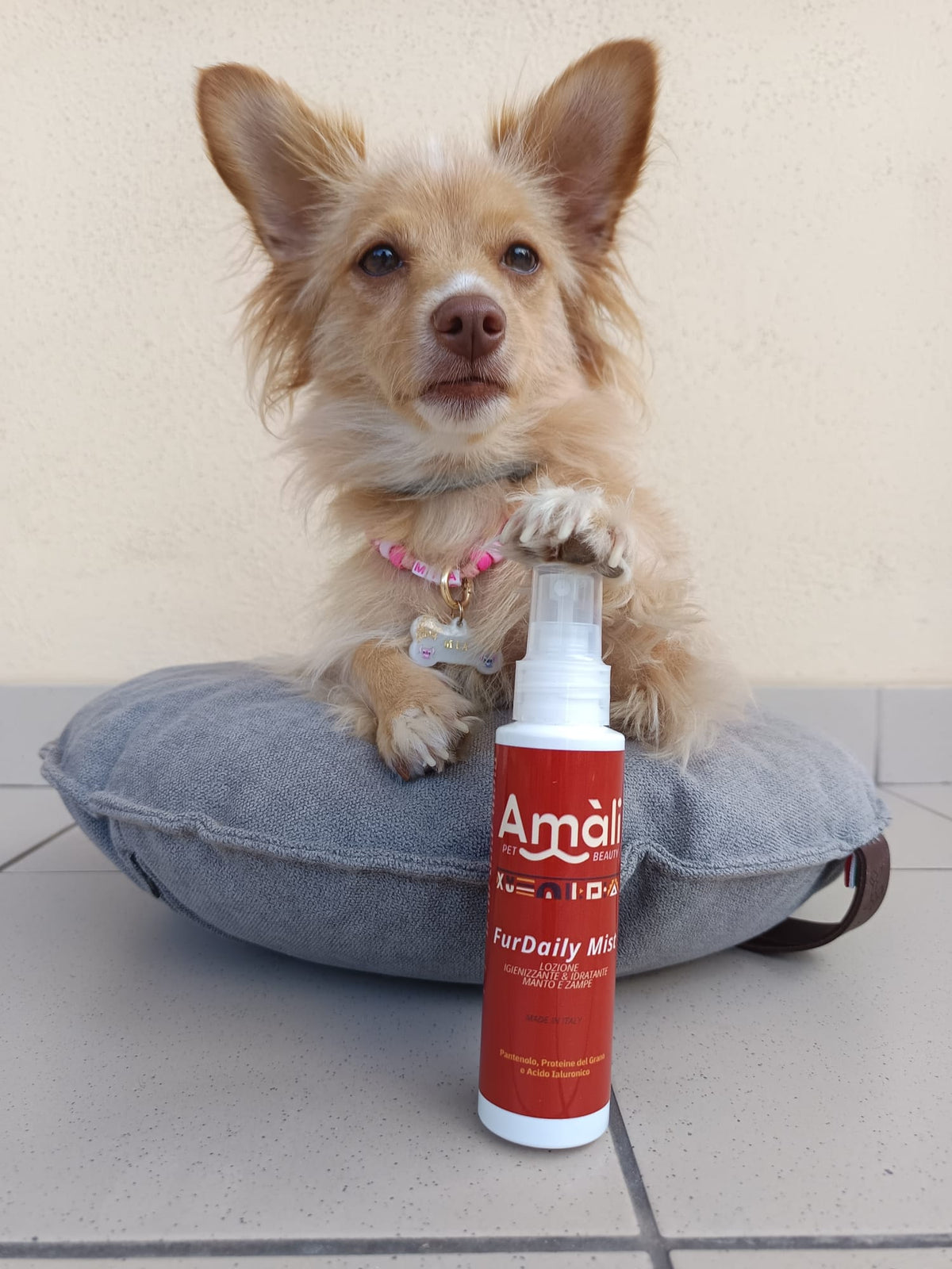 Furdaily Mist - Lozione Spray Rinfrescante e Profumata per Pelo e Zampe