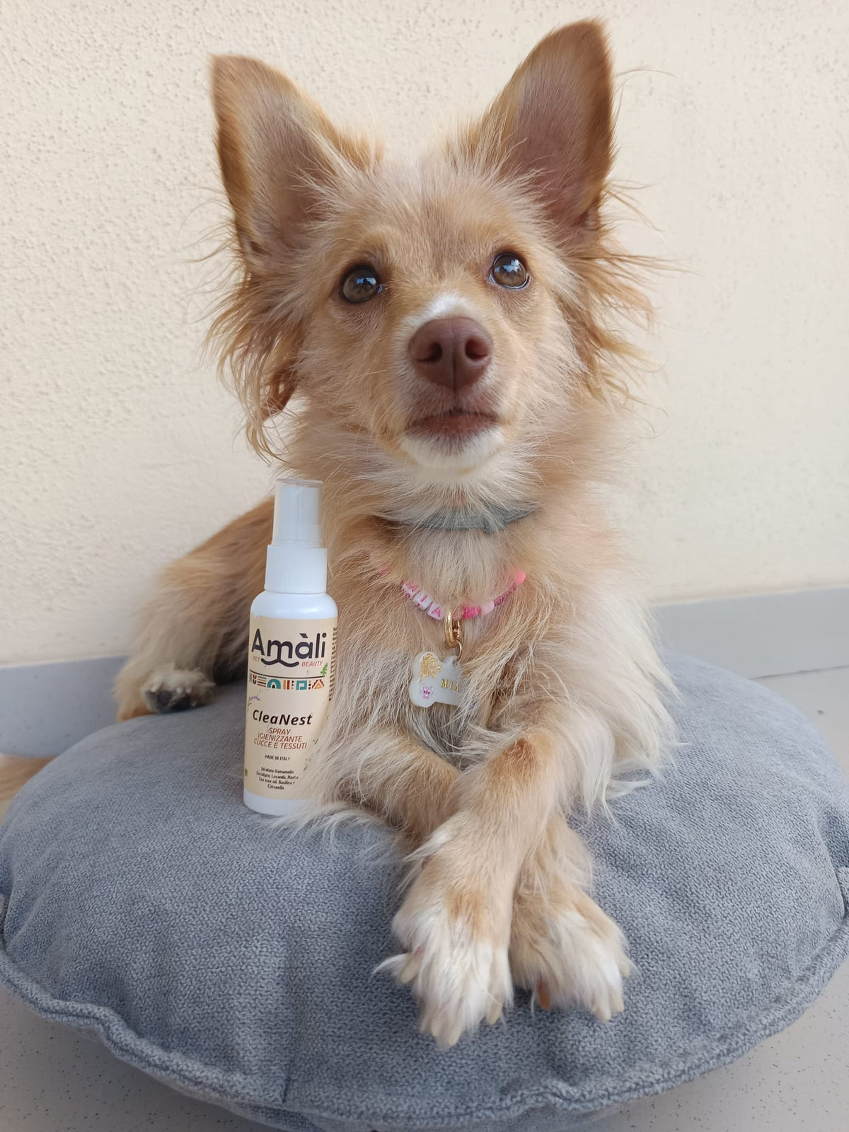 CleaNest Spray Igienizzante per Ambienti e Tessuti | Freschezza Naturale per la Casa del Tuo Cane