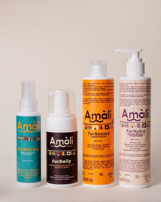 Kit Tangle-Free System - cura del pelo per barbone, lagotto e pelo lungo