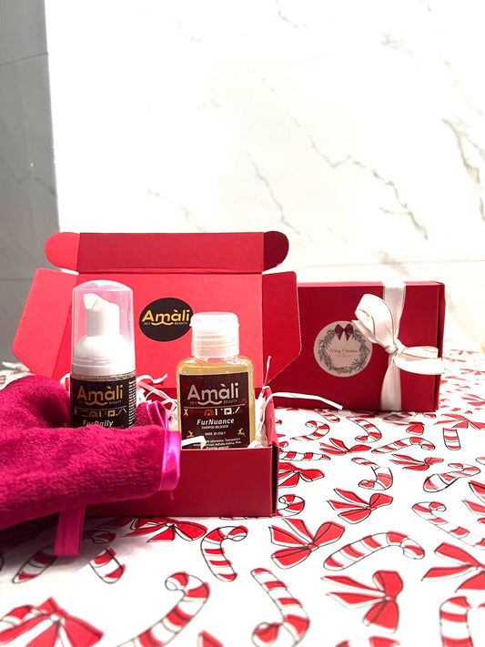 CHRISTMAS BOX - Piccole dimensioni, grandi coccole per il tuo cane