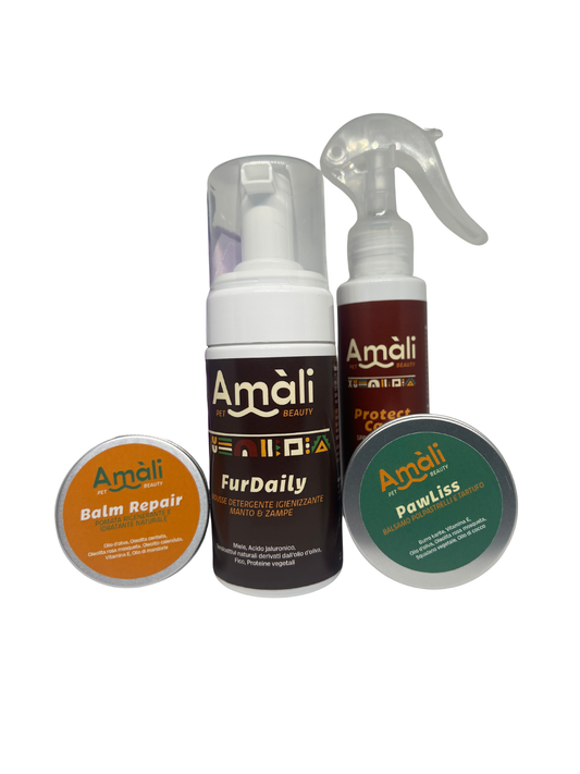 Kit Pet Beauty